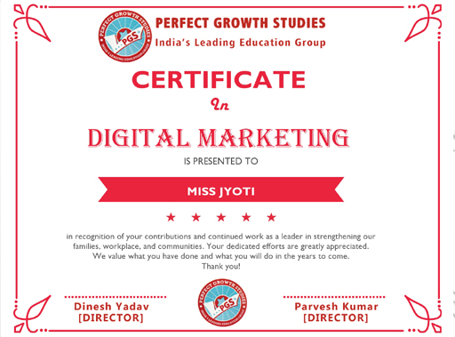 Perfect Growth Studies Digital Marketing Certificate